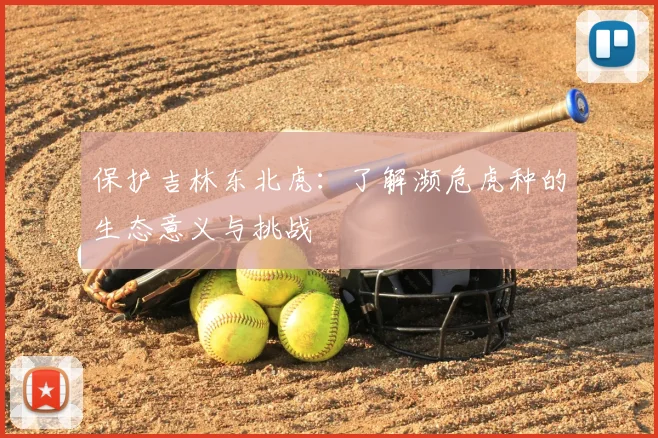 保护吉林东北虎：了解濒危虎种的生态意义与挑战