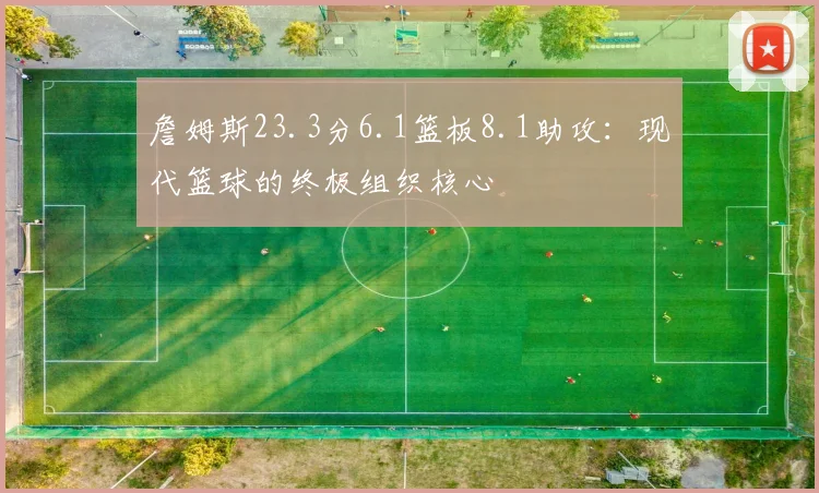 詹姆斯23.3分6.1篮板8.1助攻:现代篮球的终极组织核心