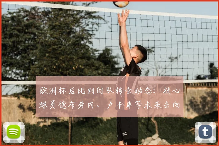 欧洲杯后比利时队转会动态:核心球员德布劳内、卢卡库等未来去向全解析