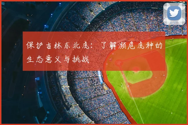 保护吉林东北虎:了解濒危虎种的生态意义与挑战